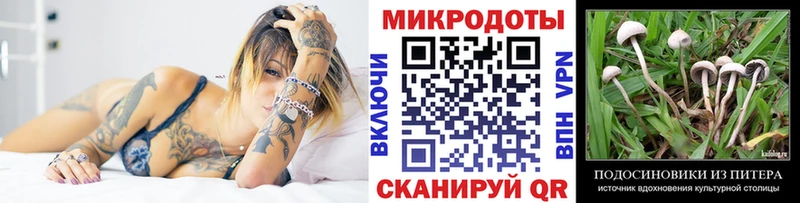 Псилоцибиновые грибы Cubensis  Купить где  Приморск 