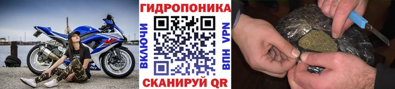 Бошки Шишки ГИДРОПОН Приморск